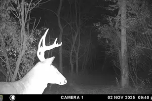 2983 Old Winchester Rd, Boyce, VA 22620 - Photo 89