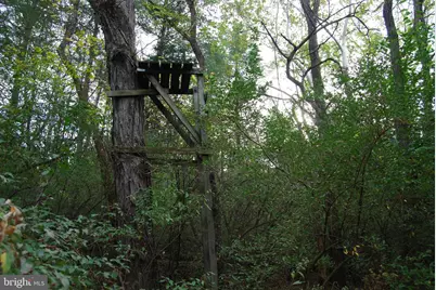 2983 Old Winchester Road, Boyce, VA 22620 - Photo 35