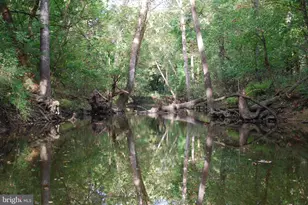 2983 Old Winchester Rd, Boyce, VA 22620 - Photo 27