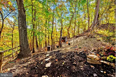 622 Timber Lane, Bluemont, VA 20135 - Photo 5