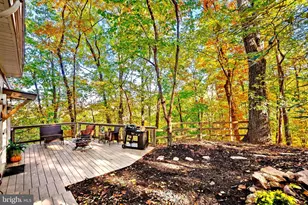 622 Timber Ln, Bluemont, VA 20135 - Photo 3