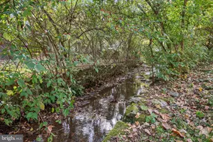 1621 Lockes Mill Road Rd, Berryville, VA 22611 - Photo 49