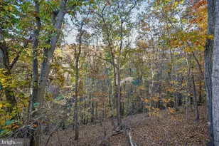 598 Timber Ln, Bluemont, VA 20135 - Photo 7