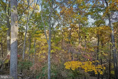 598 Timber Lane, Bluemont, VA 20135 - Photo 9