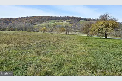 598 Timber Lane, Bluemont, VA 20135 - Photo 41