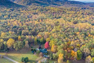 161 Bell Hollow Ln, Bluemont, VA 20135 - Photo 43