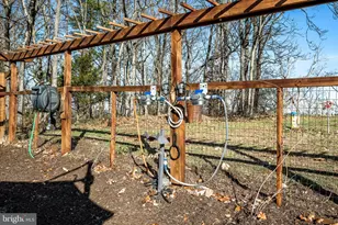 136 Rose Hill Ln, Berryville, VA 22611 - Photo 63