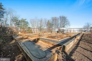 136 Rose Hill Ln, Berryville, VA 22611 - Photo 61