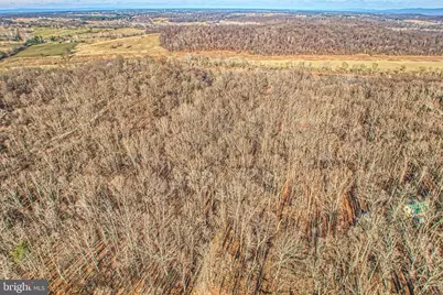 222 Barred Owl Lane, Boyce, VA 22620 - Photo 97