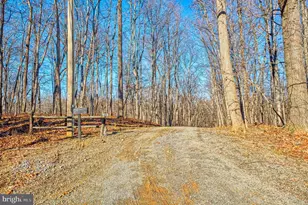 222 Barred Owl Ln, Boyce, VA 22620 - Photo 79