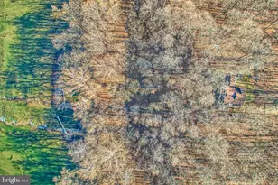 222 Barred Owl Ln, Boyce, VA 22620 - Photo 89