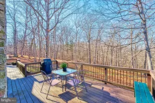 222 Barred Owl Ln, Boyce, VA 22620 - Photo 71