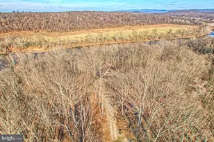 222 Barred Owl Ln, Boyce, VA 22620 - Photo 95