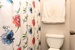 218 Stribling Ave, Charlottesville, VA 22903 - Photo 19