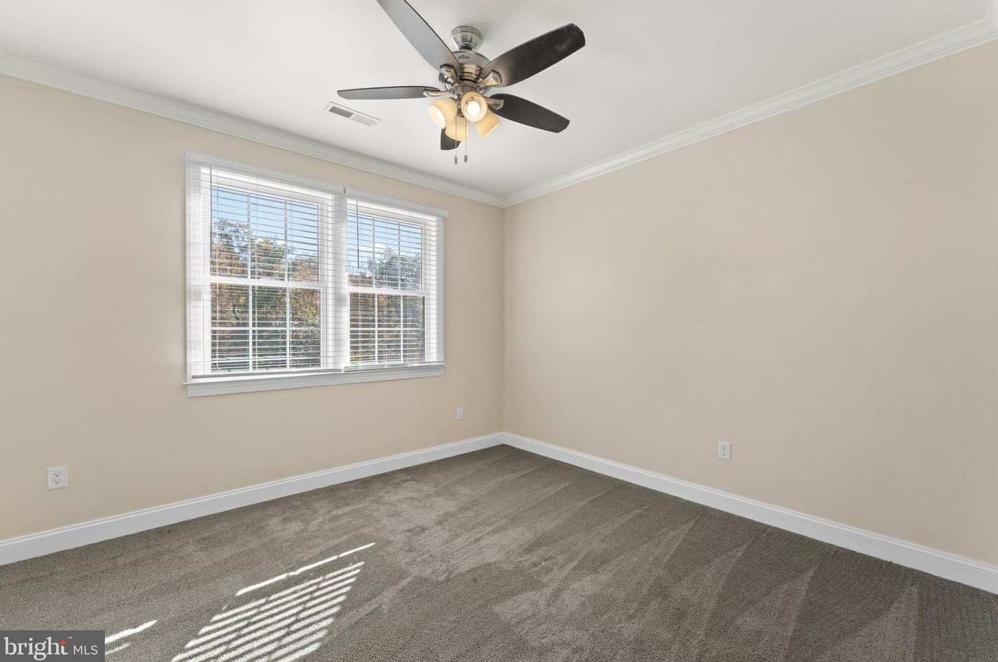 11192 Rixeyville Rd, Culpeper VA  22701-5249 exterior