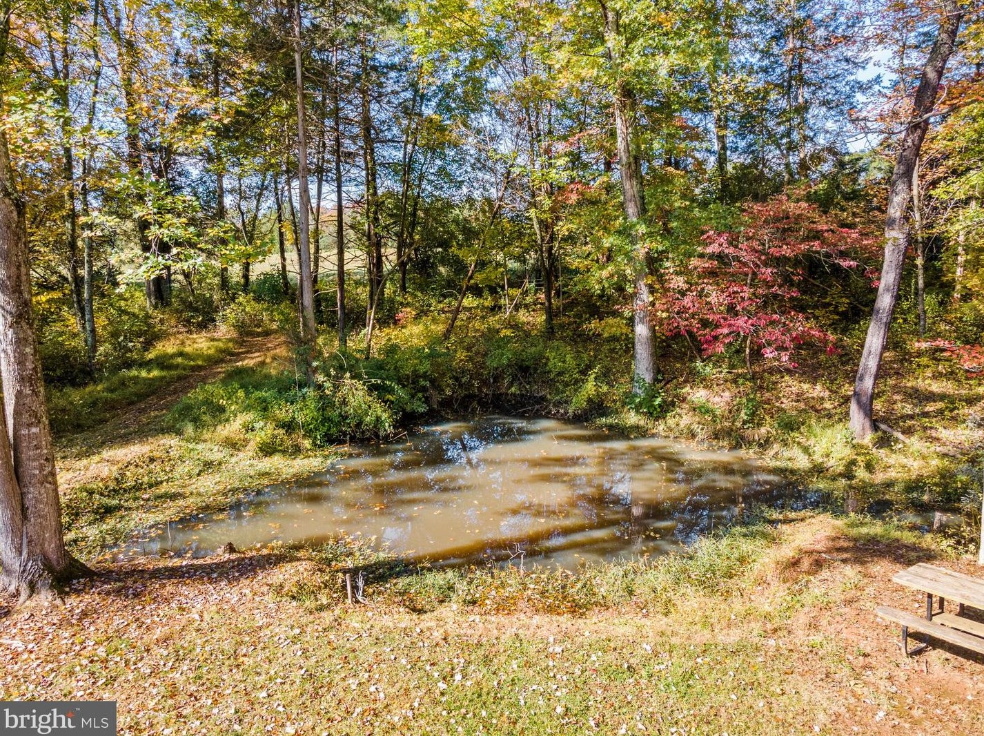 11192 Rixeyville Rd, Culpeper VA  22701-5249 exterior