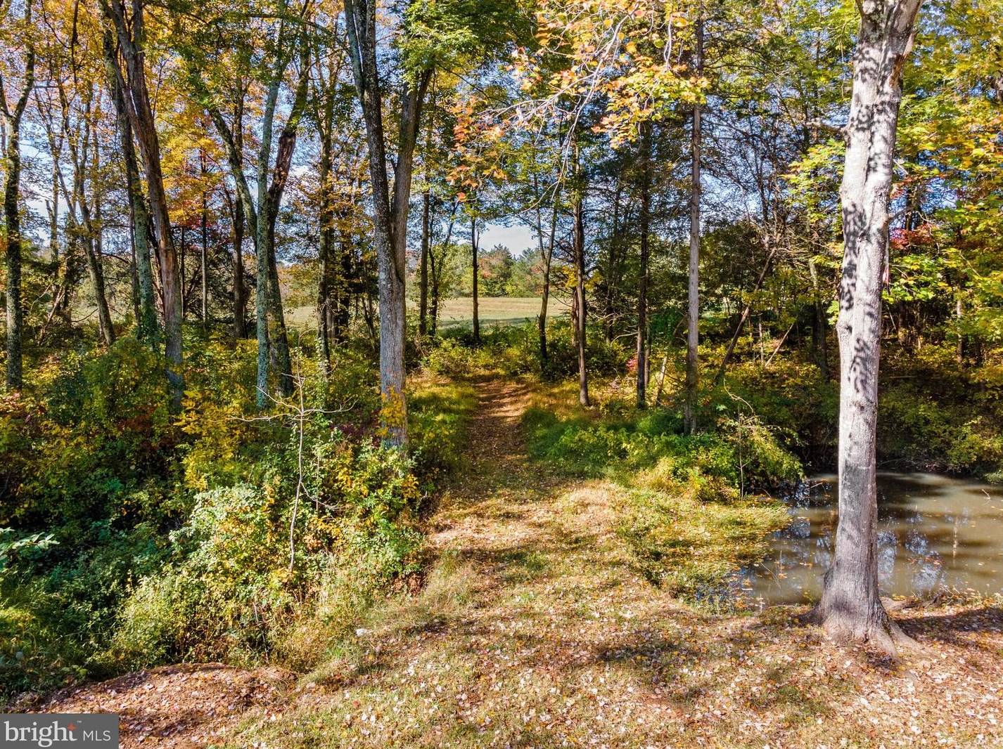 11192 Rixeyville Rd, Culpeper VA  22701-5249 exterior