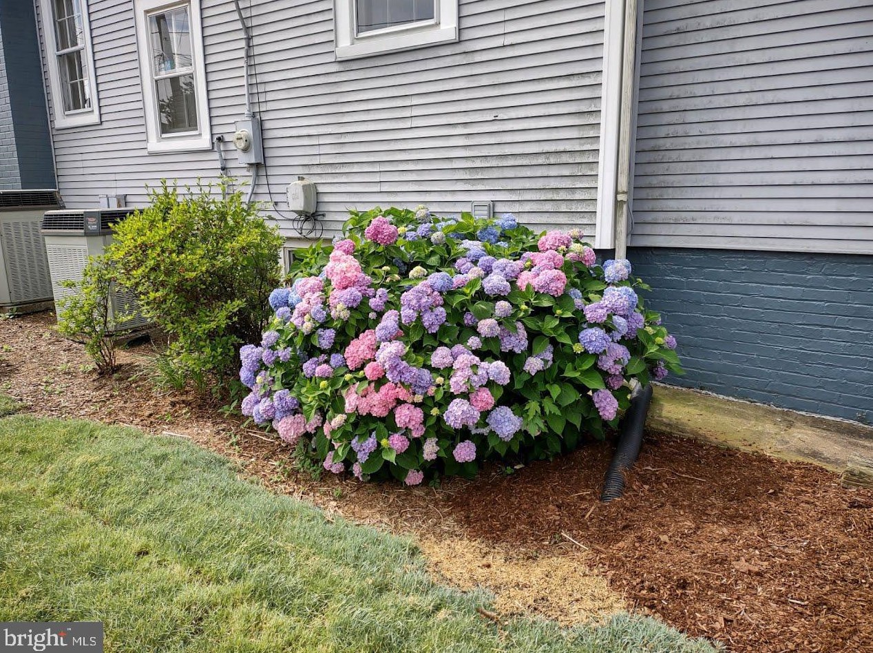 602 Blue Ridge Ave, Culpeper VA  22701-2949 exterior