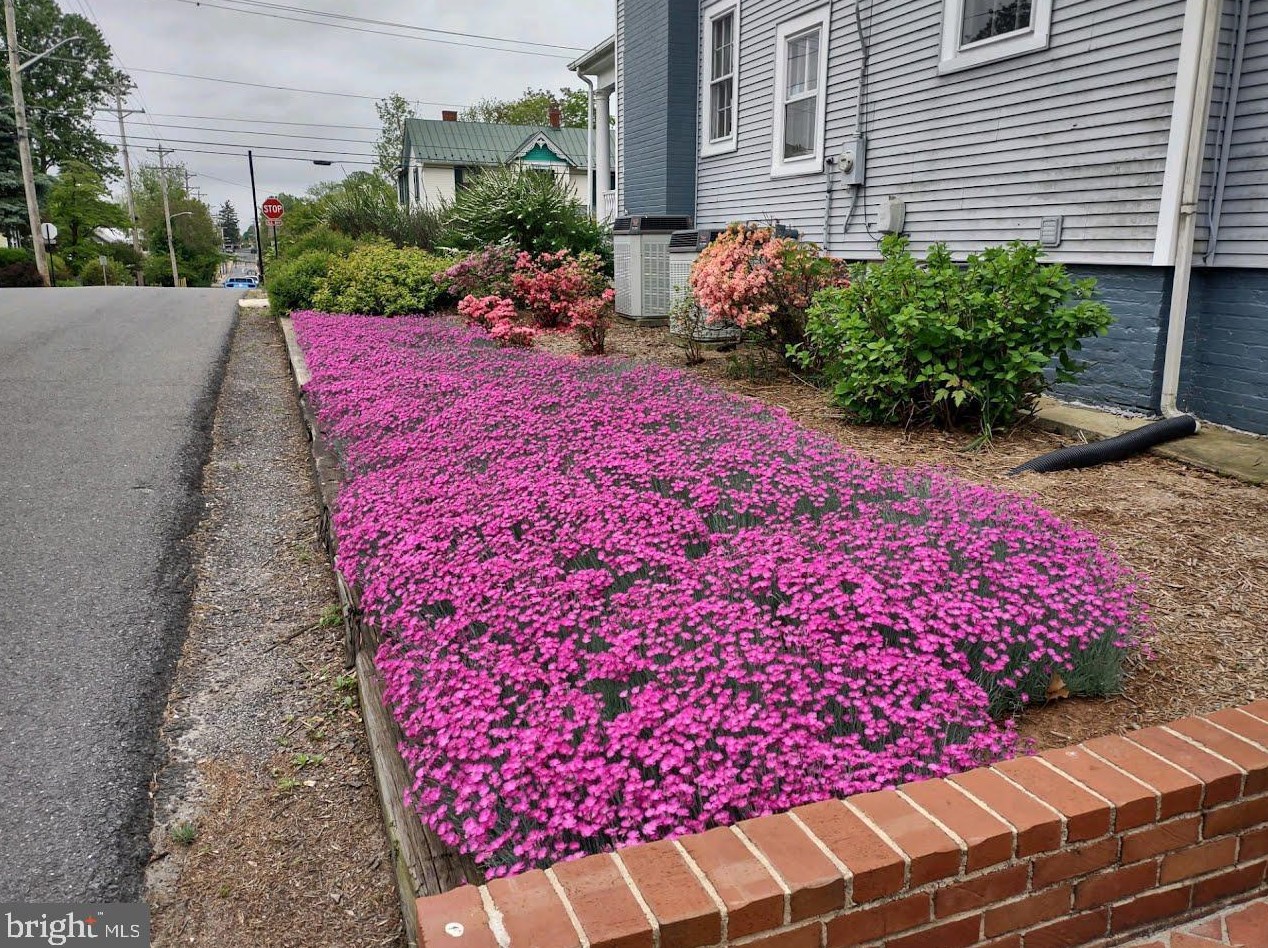 602 Blue Ridge Ave, Culpeper VA  22701-2949 exterior