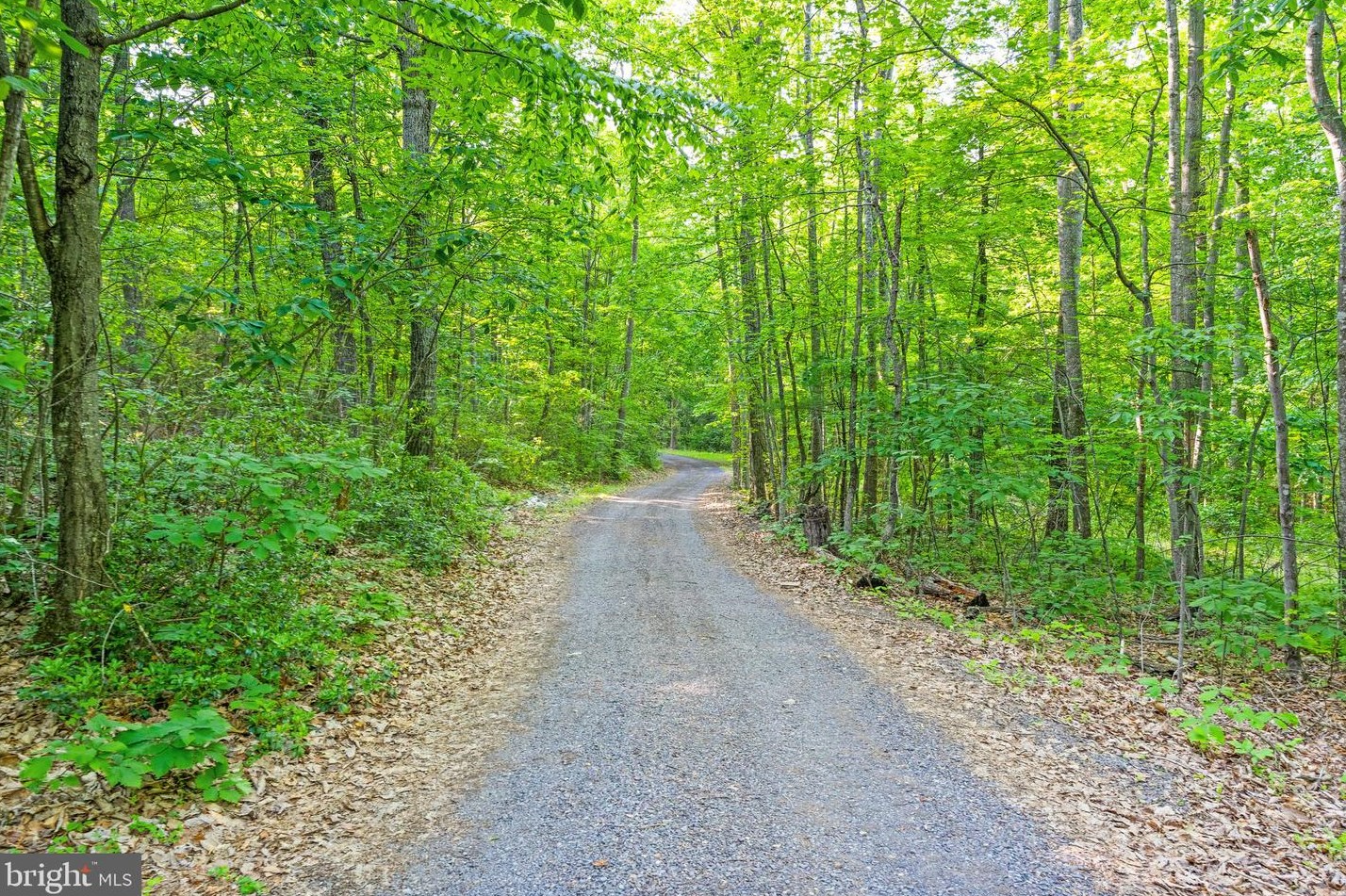 16127 Laurel Springs Rd, Culpeper VA  22701-7236 exterior
