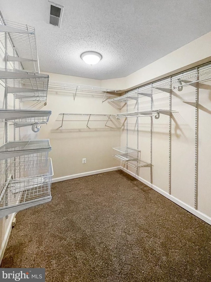 20131 Miller Dr, Culpeper VA  22701-8235 exterior