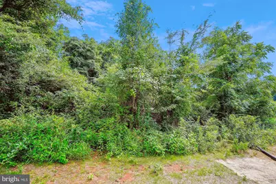 Lot 2 Cedar Ridge Road, Rapidan, VA 22733 - Photo 11