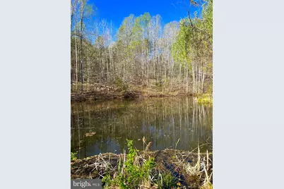 13090 Hazel River Road, Culpeper, VA 22701 - Photo 7