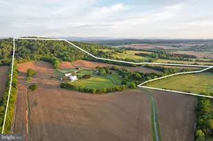 23350 Cedar Mountain Dr, Rapidan, VA 22733 - Photo 103