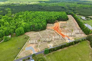 Lot 3 Lederers Trace, Richardsville, VA 22736 - Photo 9