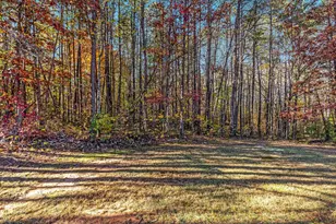 10214 Unique Trail, Rixeyville, VA 22737 - Photo 39