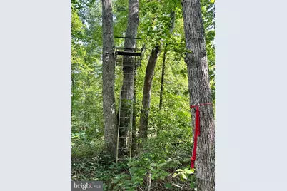 Parcel 6-22A Black Hill Rd., Rixeyville, VA 22737 - Photo 5