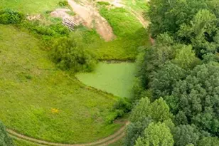 31260 Eleys Ford Rd, Fredericksburg, VA 22407 - Photo 7