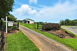 8260 River Hills Ln, Rixeyville, VA 22737 - Photo 5