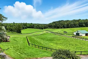 8260 River Hills Ln, Rixeyville, VA 22737 - Photo 97