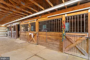 8260 River Hills Ln, Rixeyville, VA 22737 - Photo 99