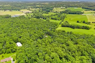 13013 Alum Springs Rd, Culpeper, VA 22701 - Photo 97