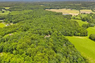 13013 Alum Springs Rd, Culpeper, VA 22701 - Photo 99