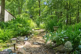 13013 Alum Springs Rd, Culpeper, VA 22701 - Photo 87