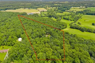 13013 Alum Springs Rd, Culpeper, VA 22701 - Photo 95