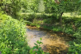 9534 Spring Hill, Rixeyville, VA 22737 - Photo 23