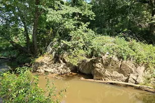 9534 Spring Hill, Rixeyville, VA 22737 - Photo 19