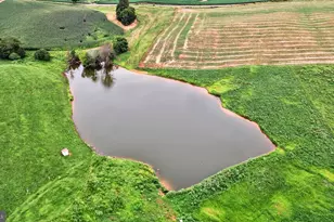 9534 Spring Hill, Rixeyville, VA 22737 - Photo 3