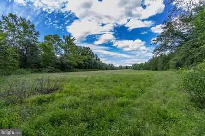 Oak Shade, Jeffersonton, VA 22724 - Photo 9