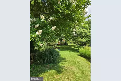 802 S Blue Ridge Avenue, Culpeper, VA 22701 - Photo 87