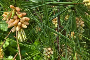 802 S Blue Ridge Ave, Culpeper, VA 22701 - Photo 95