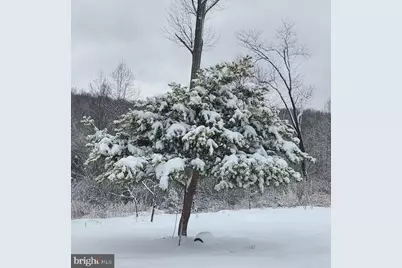 18257 Carter Lane, Brandy Station, VA 22714 - Photo 29