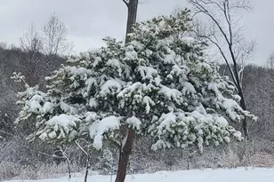 18257 Carter Ln, Brandy Station, VA 22714 - Photo 29