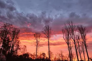 18257 Carter Ln, Brandy Station, VA 22714 - Photo 15