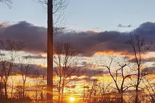 18257 Carter Ln, Brandy Station, VA 22714 - Photo 17