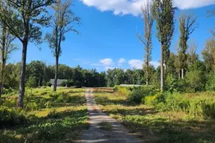 18257 Carter Ln, Brandy Station, VA 22714 - Photo 11